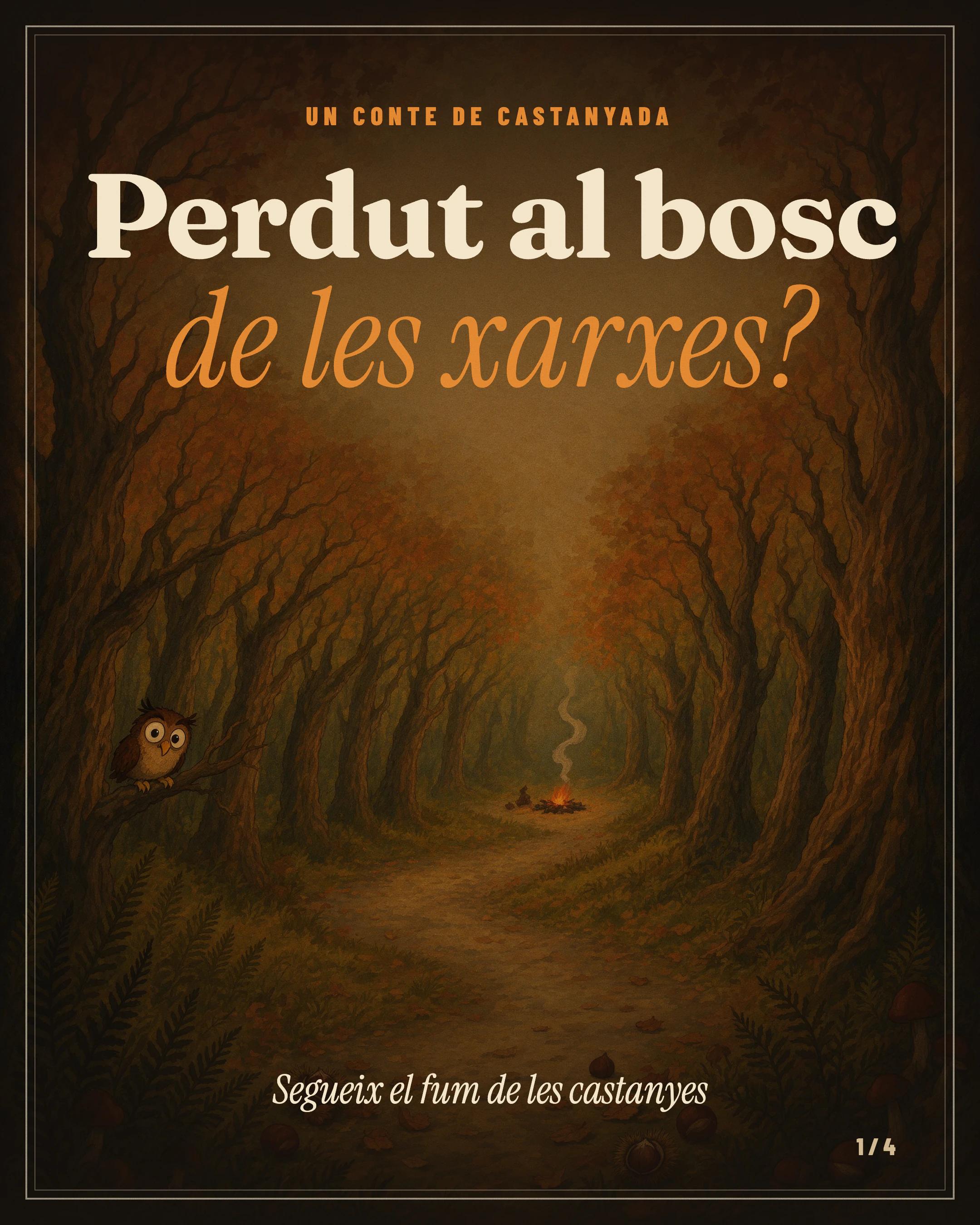 Carrusel «Perdut al bosc de les xarxes?» para Racord