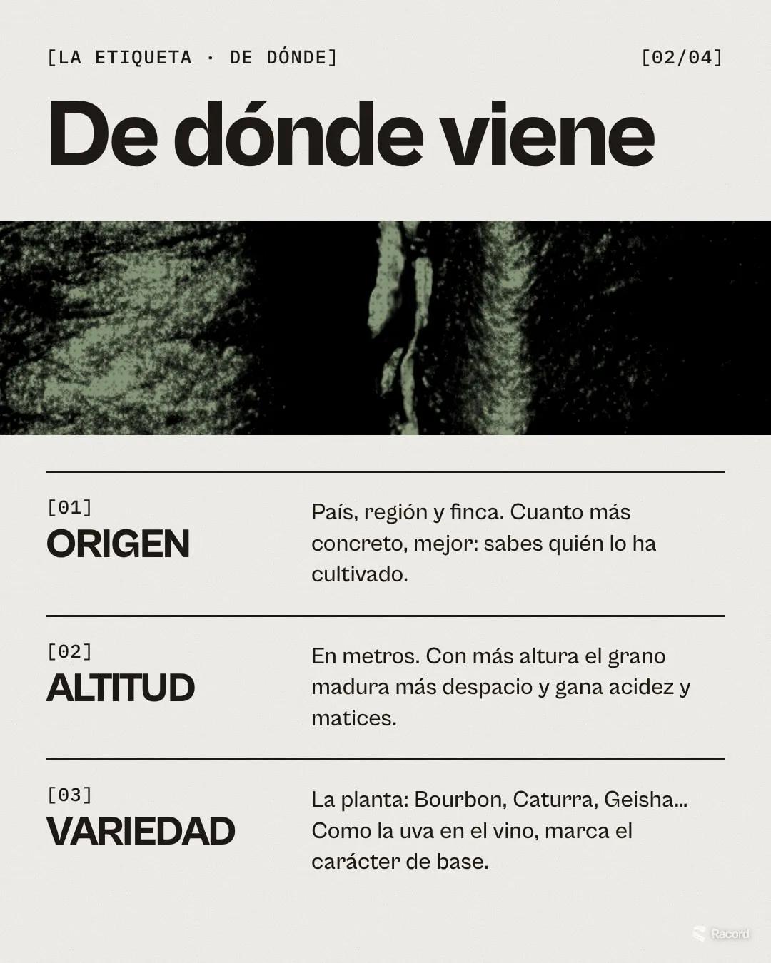 Carrusel de Instagram para Solc (tostadores): «Seis líneas que te dicen cómo sabe tu café», lámina 2 de 4