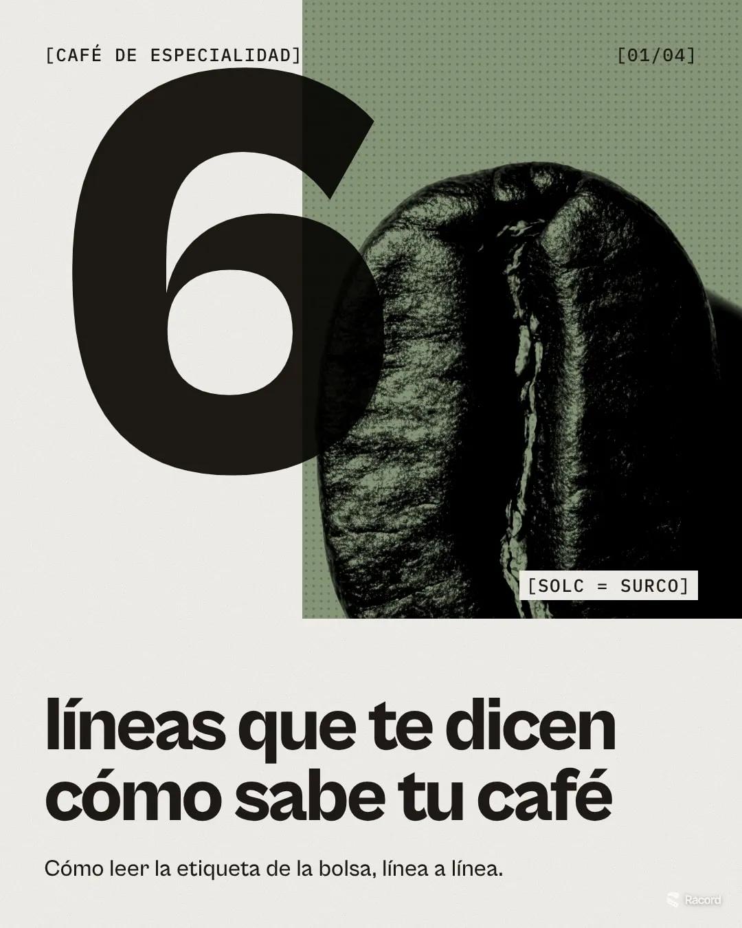 Portada del carrusel «Seis líneas que te dicen cómo sabe tu café» para Solc